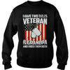 Image of I Have Two Titles Veteran And Grandpa T-shirt