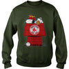 Image of VGSportBaseballSnoopyHouseBostonRedSox