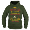 Image of REDSKINS Fan