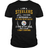 Image of STEELERS 09 Fan