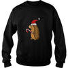 Image of Funny Hedgehog in Santa Hat Christmas T-shirt