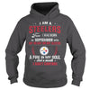 Image of STEELERS 09 Fan