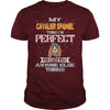 Image of CAVALIER SPANIEL Thinks I'm Perfect