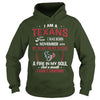 Image of TEXANS Fan