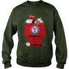 Image of VGSportBaseballSnoopyHouseTexasRangers