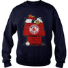 Image of VGSportBaseballSnoopyHouseBostonRedSox
