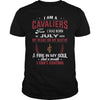 Image of CAVALIERS 7 Fan