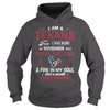 Image of TEXANS Fan