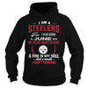 Image of STEELERS 06 Fan