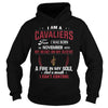 Image of CAVALIERS 11 Fan