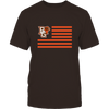 Image of Bowling Green Falcons - Flag Stripes