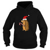 Image of Funny Hedgehog in Santa Hat Christmas T-shirt