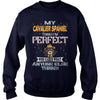 Image of CAVALIER SPANIEL Thinks I'm Perfect