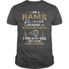 Image of RAMS Fan