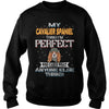 Image of CAVALIER SPANIEL Thinks I'm Perfect