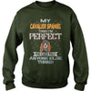 Image of CAVALIER SPANIEL Thinks I'm Perfect