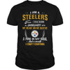 Image of STEELERS 01 Fan