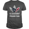 Image of Texans Fan