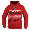 Image of if you want to know falcons