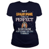 Image of CAVALIER SPANIEL Thinks I'm Perfect