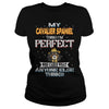 Image of CAVALIER SPANIEL Thinks I'm Perfect