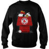 Image of VGSportBaseballSnoopyHouseBostonRedSox