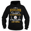Image of STEELERS 06 Fan