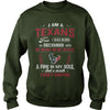 Image of TEXANS Fan