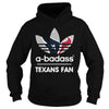 Image of Texans Fan