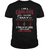 Image of CAVALIERS 5 Fan