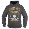 Image of STEELERS 01 Fan