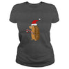Image of Funny Hedgehog in Santa Hat Christmas T-shirt