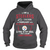 Image of STEELERS 02 Fan