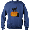 Image of Halloween Cat and Pumpkin 1