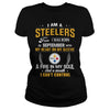 Image of STEELERS 09 Fan