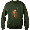 Image of Funny Hedgehog in Santa Hat Christmas T-shirt