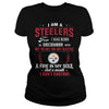 Image of STEELERS Fan