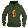 Image of Funny Hedgehog in Santa Hat Christmas T-shirt