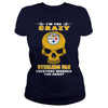 Image of Steelers Fan TShirt