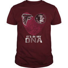 Falcons  Noles Its In My DNA TShirt