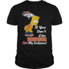 Image of If You Dont Like BRONCOS Hoodies