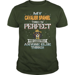CAVALIER SPANIEL Thinks I'm Perfect