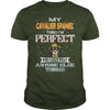 Image of CAVALIER SPANIEL Thinks I'm Perfect