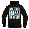 Image of Lions Fan