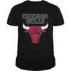 Image of Bulls