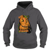 Image of Fat Pumpkin and Black Kitty_0