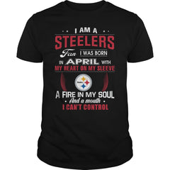 STEELERS  04 Fan