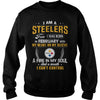 Image of STEELERS  02 Fan