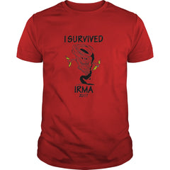 T Shirts Designs For Florida Hurricane Irma For Man Women