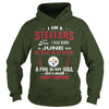 Image of STEELERS  06 Fan
